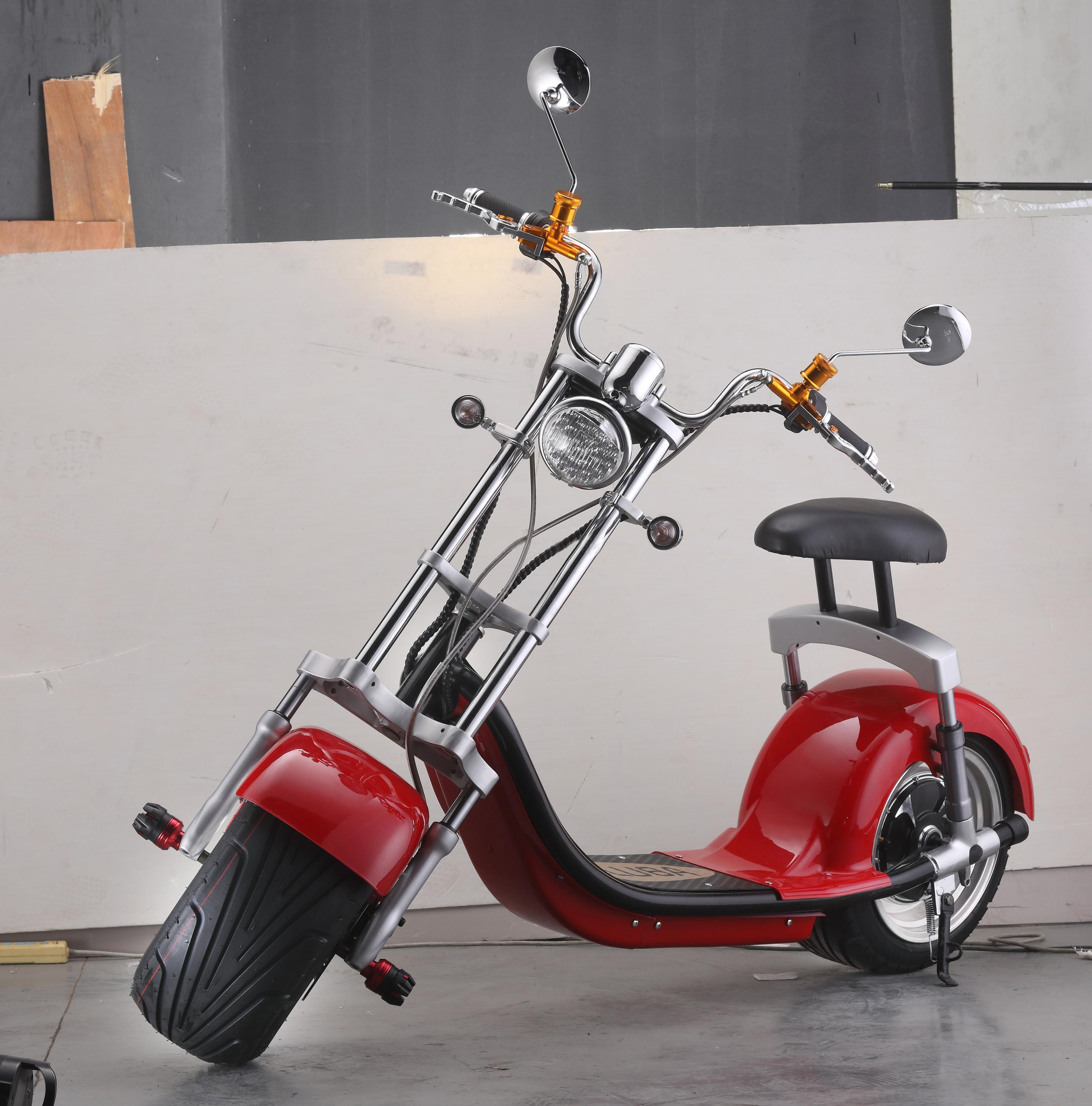 EcoRider 1000W 60V 10ah Big solid tire Two Wheel Electric Motorcycle Scooter Citycoco With front lamp and speedmeter