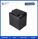12V 18Ah 25Ah 30Ah LiFePO4 Lithium Battery for Solar Storage System 384Wh 165