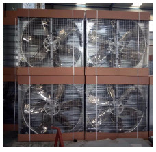 Chicken Broilers Layers 380V Ventilation Fan System