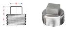 Hex Head SCH STD GB Stainless Steel Forged Fittings