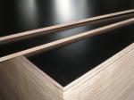 Competitive price film faced plywood ,melamine film faced plywood with best
