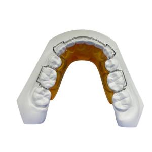 Wholesale OEM Orthodontic Appliances For Dental Labs Easy To Install Strong Stability from china suppliers