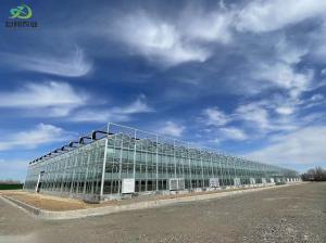 Wholesale Juxiang's Humidity-Controlled Planting Facility Package Gross Weight 2000.000kg Solution from china suppliers