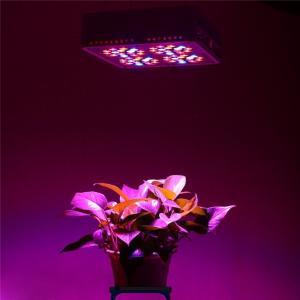 Wholesale Cidly 140W A4 medical plants planting Led Grow Light indoor hydroponics Grow Lamp from china suppliers