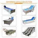 Vegetable Cleaning Peeling Machine Potato / Carrot / Cassava / Taro Washing