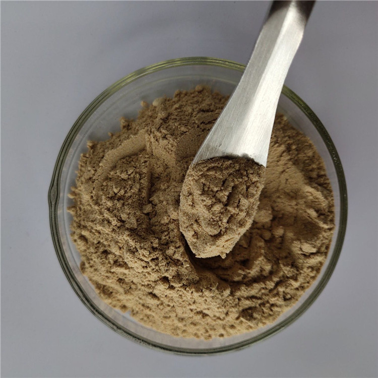 wholesale price of fucoxanthin with best price