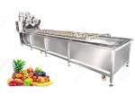 Ce Certified Stainless Steel Fruit Processing Machine Fruit Mango Apple Washing