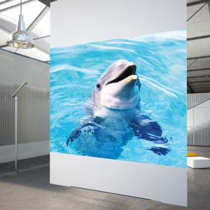 Wholesale High Contrast White Rear Projection Film 3D Holographic Projection Film For Shop Windows from china suppliers
