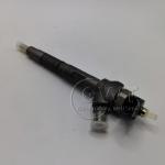 0445110646 0445110647 BOSCH Diesel Fuel Injectors Common Rail Injector