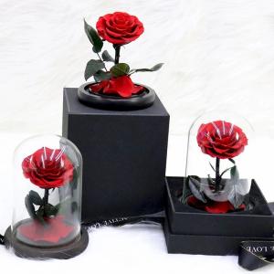 Wholesale Wholesale long stem preserved roses in glass dome rose gift Real Preserved Rose In Glass That Last 3 Years from china suppliers