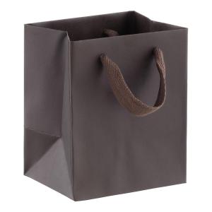 Wholesale Reusable Matte Varnishing Kraft Shopping Bags With Fabric Handle from china suppliers