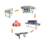 Hot selling China Manufacturer Industrial Fruit Washing Machine by Huafood