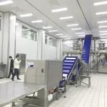 Aseptic Complete High Moisture Soft Cheese Production Line