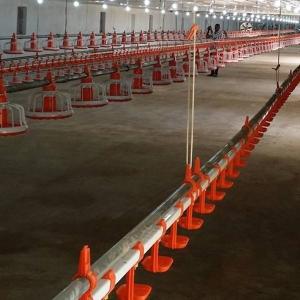 Wholesale D25mm Pipe Poultry Farm Water System Chicken Self Watering System from china suppliers