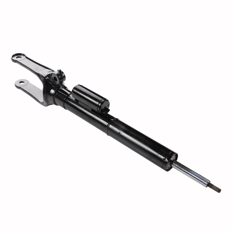 Germany Auto Parts Air Suspension System 2513200730 Air Suspension Strut