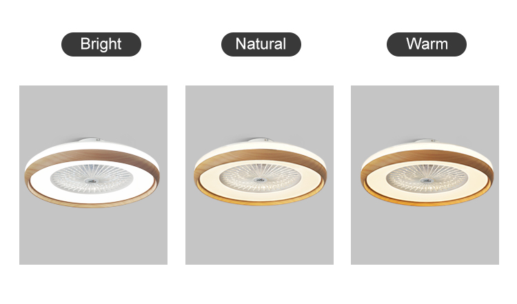 Bedroom LED Ceiling Fan with Metal Body Box Mounting and Lamp Body Material Metal