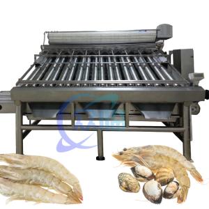 Wholesale 380V 50Hz Shrimp Grading Machine Multifunctional For Prawn Sizing from china suppliers