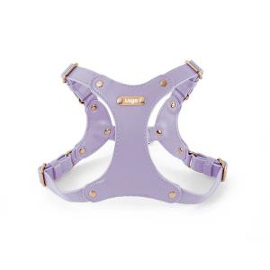 Wholesale Nice Quality Vest Style Soft Leather Anti-Break Pet Harness Sets Multi- color Accessory For Pet Dogs from china suppliers