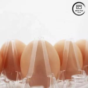 Wholesale Customized Size PET Egg Blister Tray Disposable Vacuum Formed Plastic Trays from china suppliers