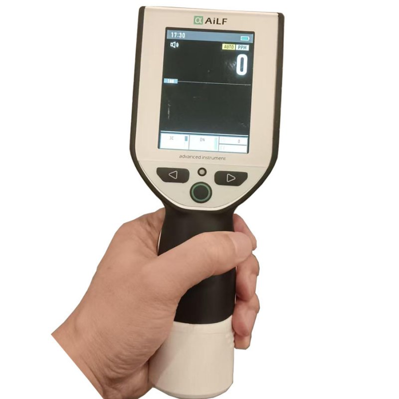 Rechargeable Full Range Compact Hand Held Gas Detector Leakage Internal Pump