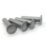 Stainless Steel Cold Heading Parts Silver Cold Headed Screws Non Standard