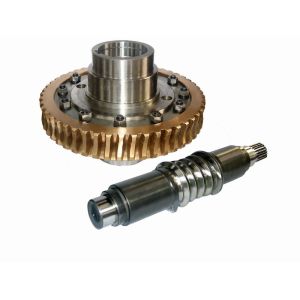 China Custom Worm Gears on sale