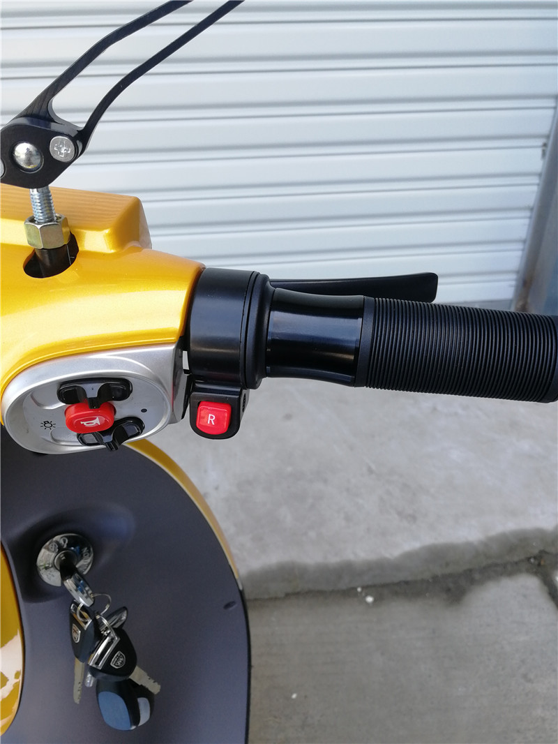 High Speed 72V 1200W Electric Motor Bike Cool Chopper Design with 3.5-10 Tubeless Tires