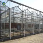 Agricultural 120km/H 12m 10.8m Glass Multi Span Greenhouse