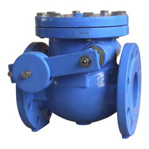 Wholesale Double Flange Industrial Check Valves BS5153 L / W For Water Oil Steam from china suppliers