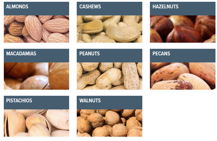 Automatic Nut Coffee Bean Color Sorter 320 Channels