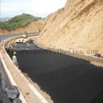 Plastic Geocell for Driveway and Slope Protection in Hotel Parking Construction
