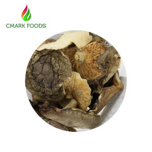 Wholesale Gourmet Food Dried Oyster Mushrooms Grade B Dried Wild Mushrooms from china suppliers
