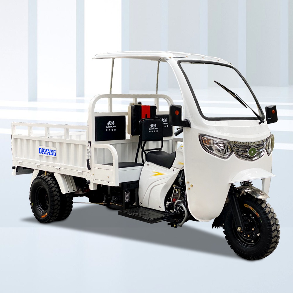 Standard Size 3 Wheel Gasoline 200cc/250cc/300cc Motorcycle Engine Cabin Cargo Tricycle