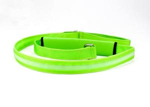 Wholesale Light Up 120cm Safety Retractable LED Dog Leash LED Nylon Pet Leash from china suppliers