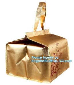 Wholesale thermal insulation food distributed delivery Bag by scooter or motorcycle,office cooler lunch bags with bottle holder from china suppliers