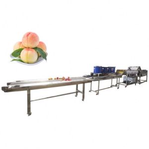 Hot selling Ultrasonic Vegetable Washer With Manufacturer Price by Huafood