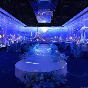 Wholesale Northern Lights 3D Holographic Projection Interactive Gaming Projector from china suppliers