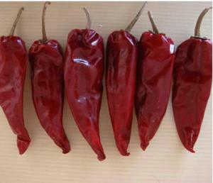 China AD Dried Yidu Chilli Round Shape 8000SHU Mild Dried Red Chilies on sale
