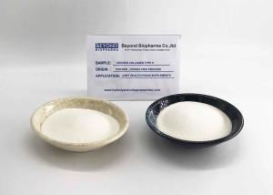 Wholesale Chicken Cartilage Collagen Type 2 Powder , Chicken Collagen Peptides from china suppliers