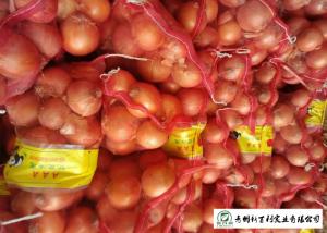 Wholesale Matured Fresh Onions , Healthy Chinese Onion Outside Color Yellow / Red from china suppliers