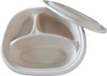 Clear disposable biodegradable pet fast food tray clamshell container white