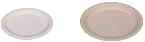 Disposable 10 Inch Compostable Biodegradable Sugarcane Bagasse Plates
