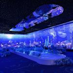 Northern Lights 3D Holographic Projection Interactive Gaming Projector