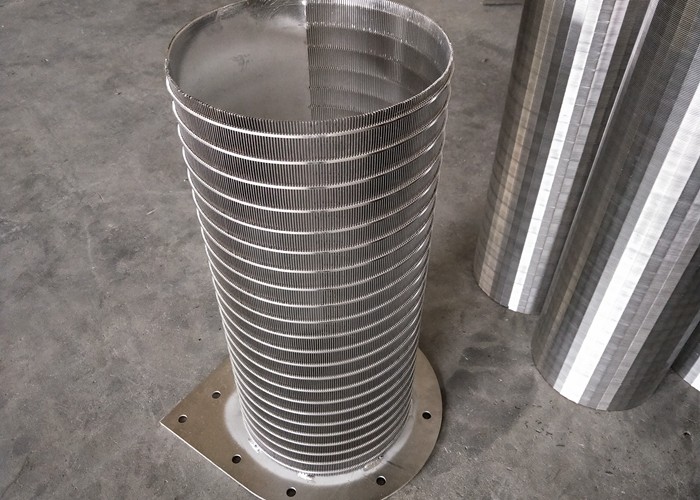 Ss 201 304 316l 321 Wedge Wire Screen Back Flush Filter Drum