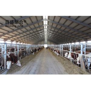 Wholesale Direct Supply Steel Structure Livestock Shed for Cow in Prefabricated Design from china suppliers