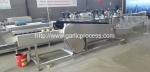 Garlic Dry Cleaning Machine