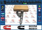 M11 Common Rail Injector excavator parts diesel engine parts 3411754 fuel