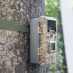 Hunting Digital Wildlife Camera , Infrared Hunting Camera That Camera Trap