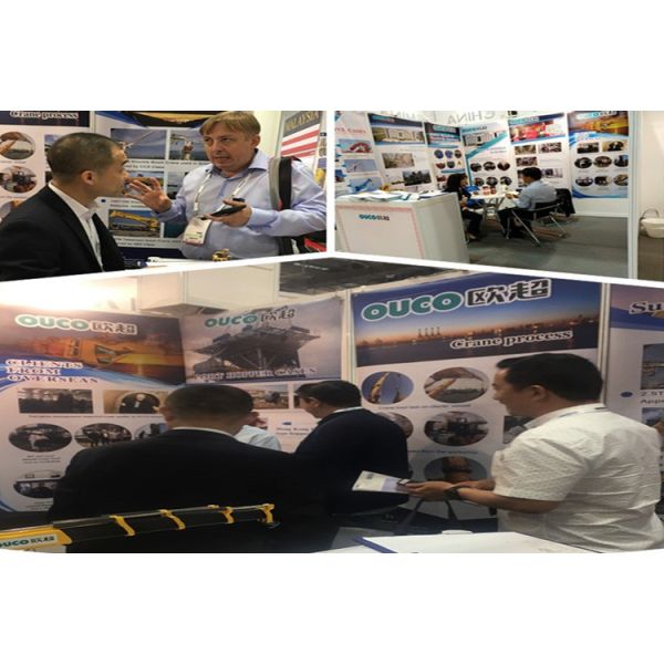 Telescopic Flexible Adjustable Boom Marine Offshore Crane To Lifting Cargoes