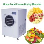 Good Price Fruit Food Liofilizador Medicine Lyophilizer Freeze Dryer Vacuum